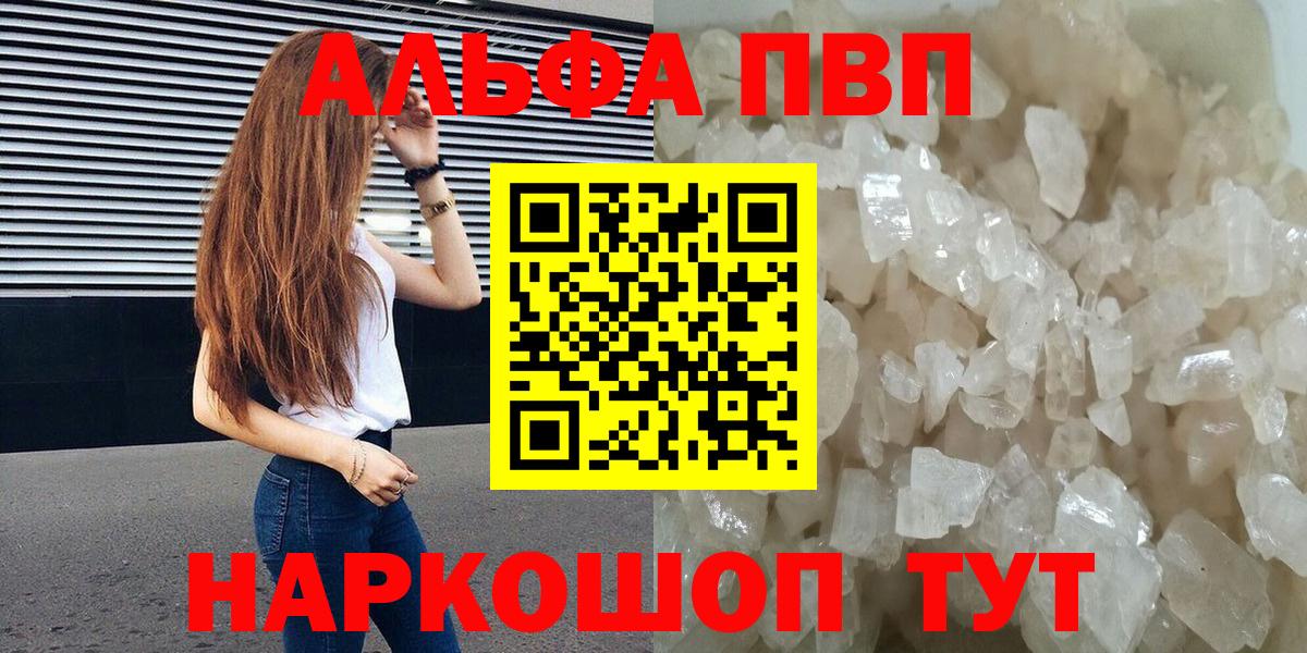 Alfa_PVP СК Сыктывкар
