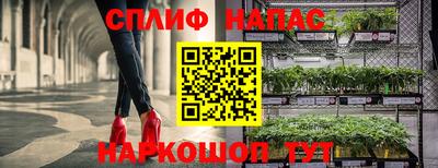скорость Пугачёв