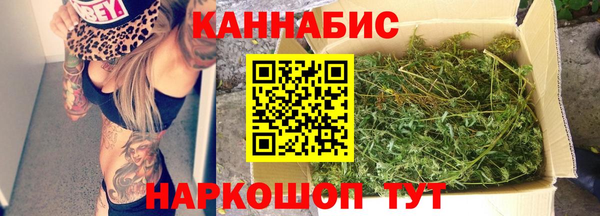 Шишки марихуана планчик  Бошки марихуана семена  Бошки марихуана Bruce Banner  Вход с VPN  Бошки марихуана планчик  Сыктывкар 